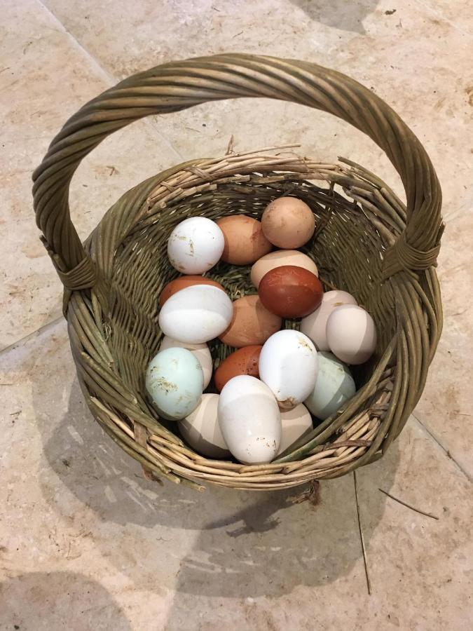 布里斯托Woodcock Farm公寓 外观 照片