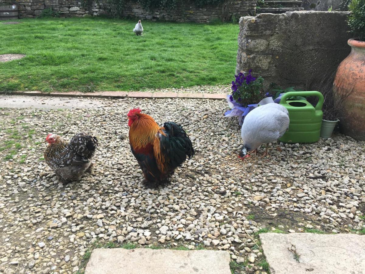 布里斯托Woodcock Farm公寓 外观 照片